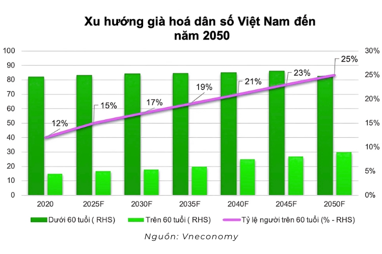 Báo cáo xu hướng già hóa dân số Việt Nam giai đoạn 2020 - 2025