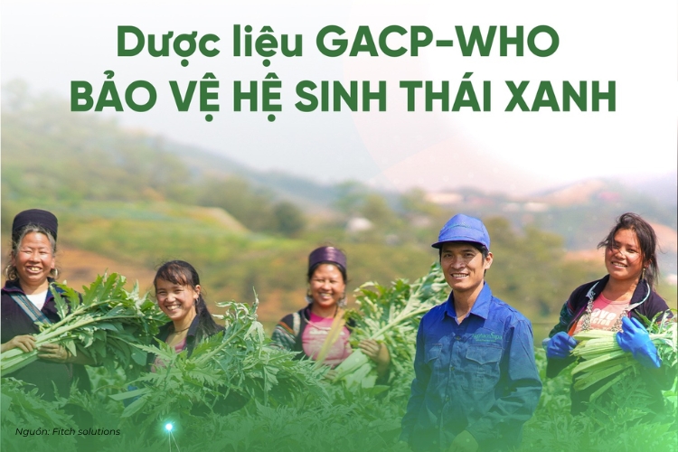 Traphaco áp dụng marketing mix trong ngành Dược